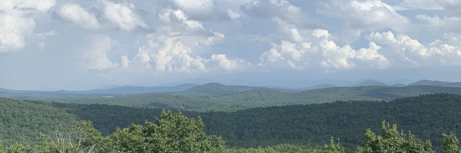 Patty_PatPat's profile banner image
