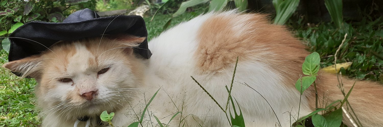 ossyfirstan's profile banner image