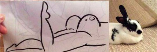 cosmorir's profile banner image