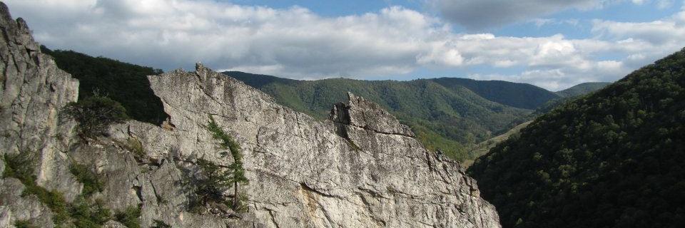 NROCKSWV's profile banner image