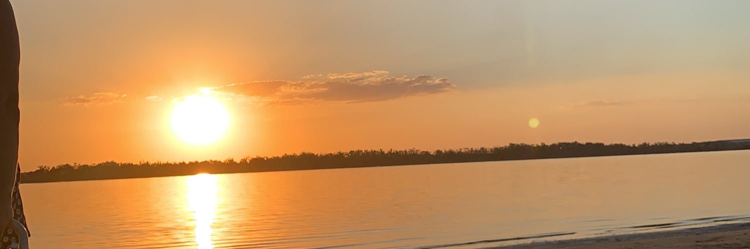 Jose Defelippo banner