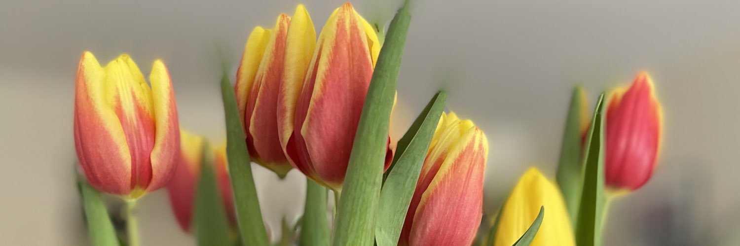 Beth Wallace banner