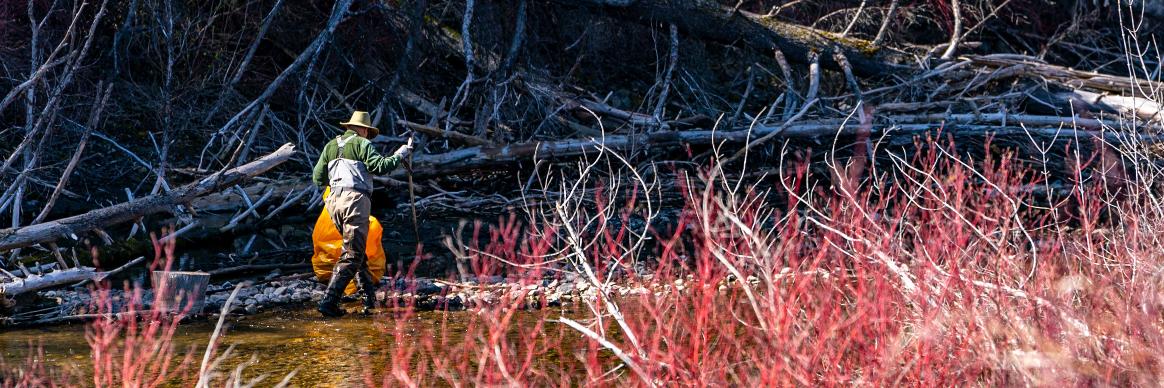 Fish For Garbage banner