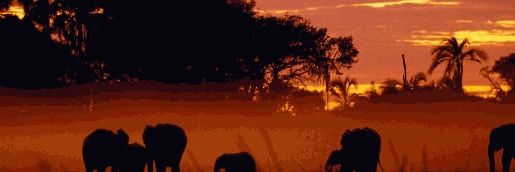 Satishbatham's profile banner image