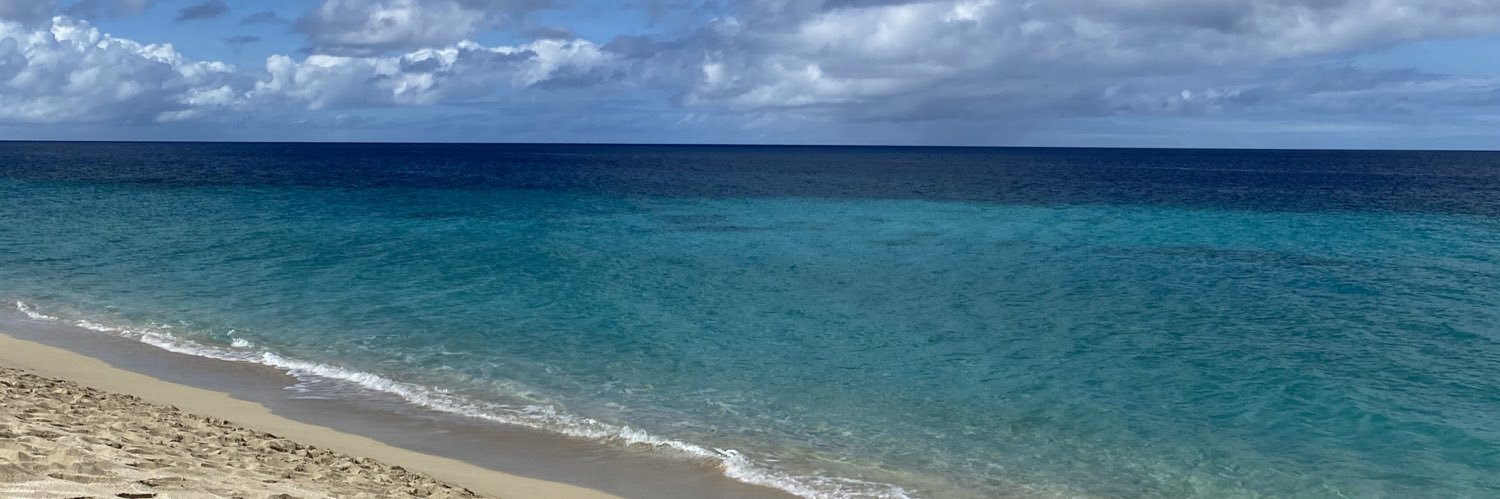 Ice❄️Blue❄️Scoop❄ banner