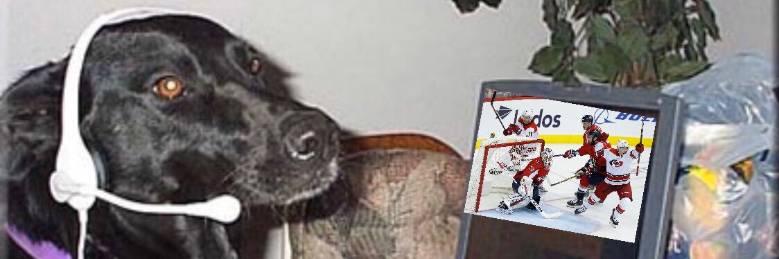 cd_avy's profile banner image