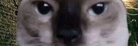Chelow9's profile banner image