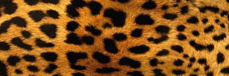 mdblz's profile banner image