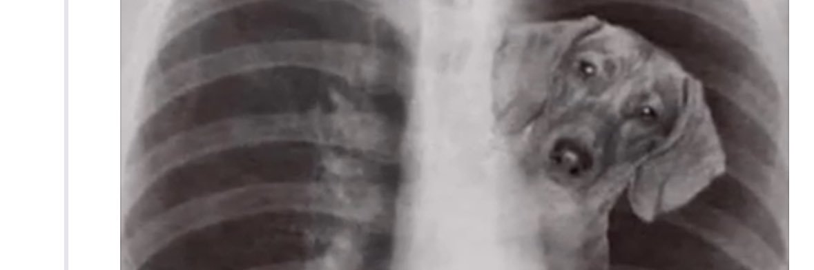 💸 EASTSIDE NIECE🥀 banner