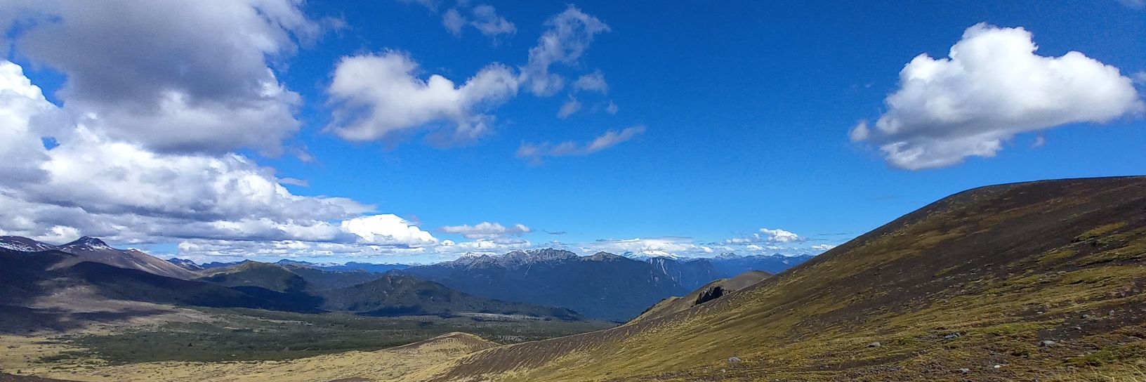 MGuzmánF. 🇨🇱 Republicano 🖐 banner