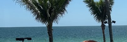DarnellTracy's profile banner image