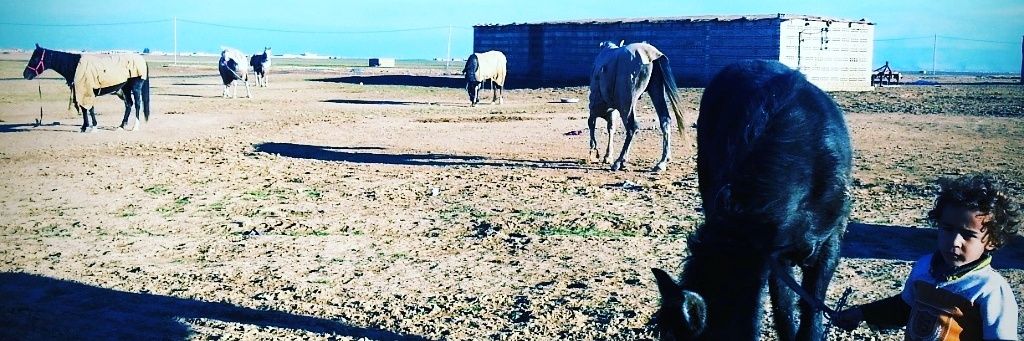 saif abdullah banner