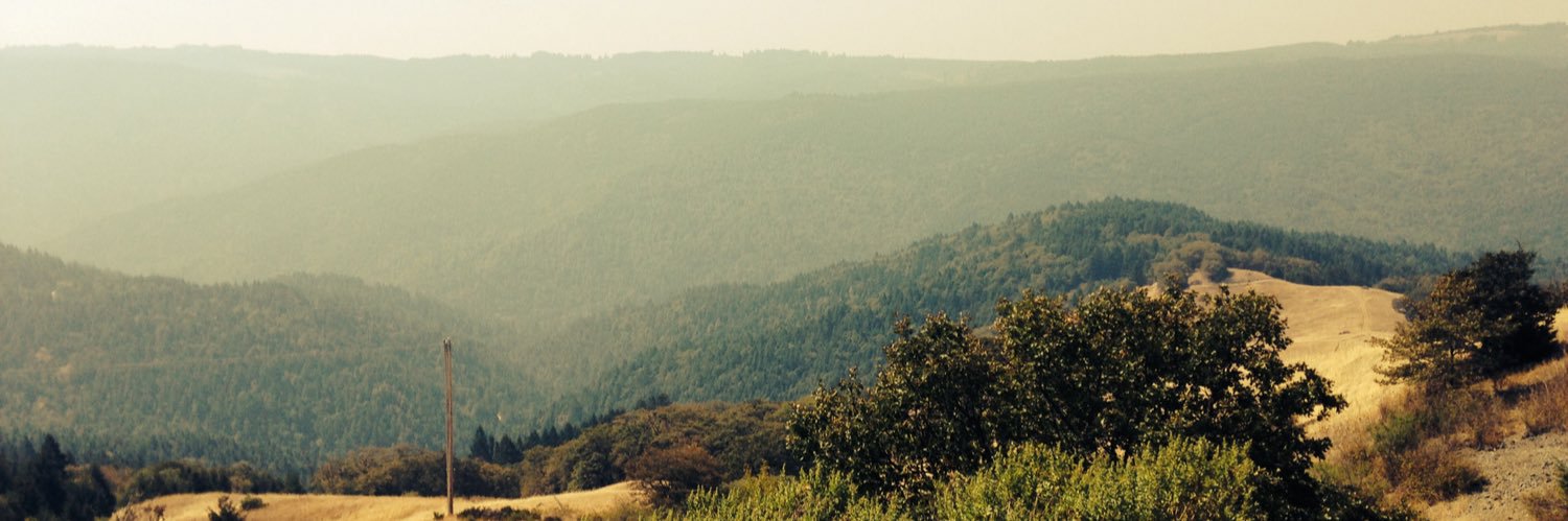 HayleaReese's profile banner image