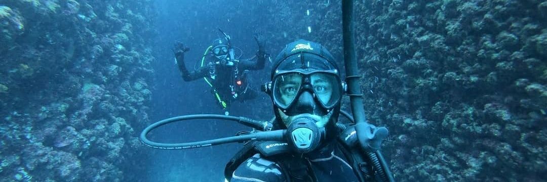 beediversdiving's profile banner image
