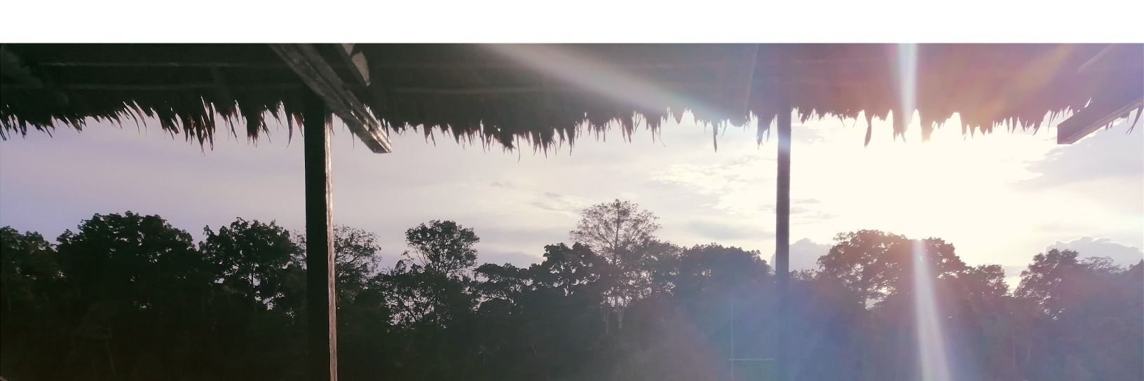 Tatiana ♥ banner
