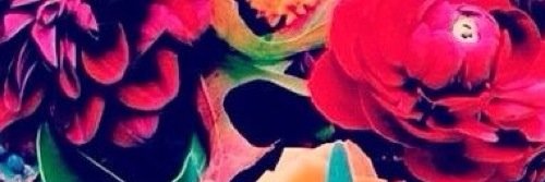 hockpocket's profile banner image
