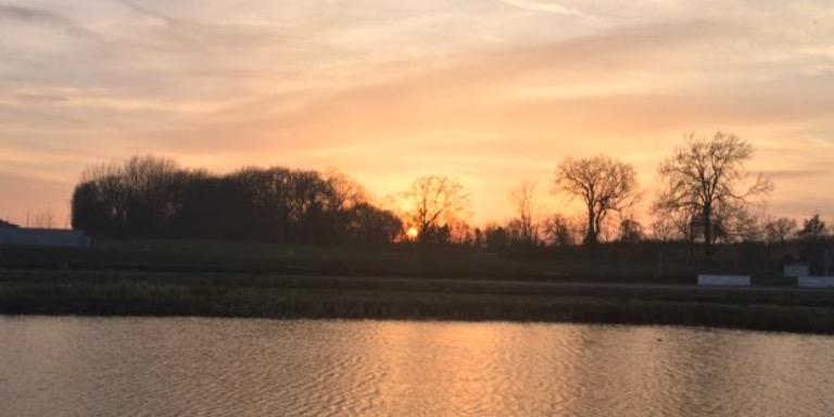 lakesidecafe3's profile banner image