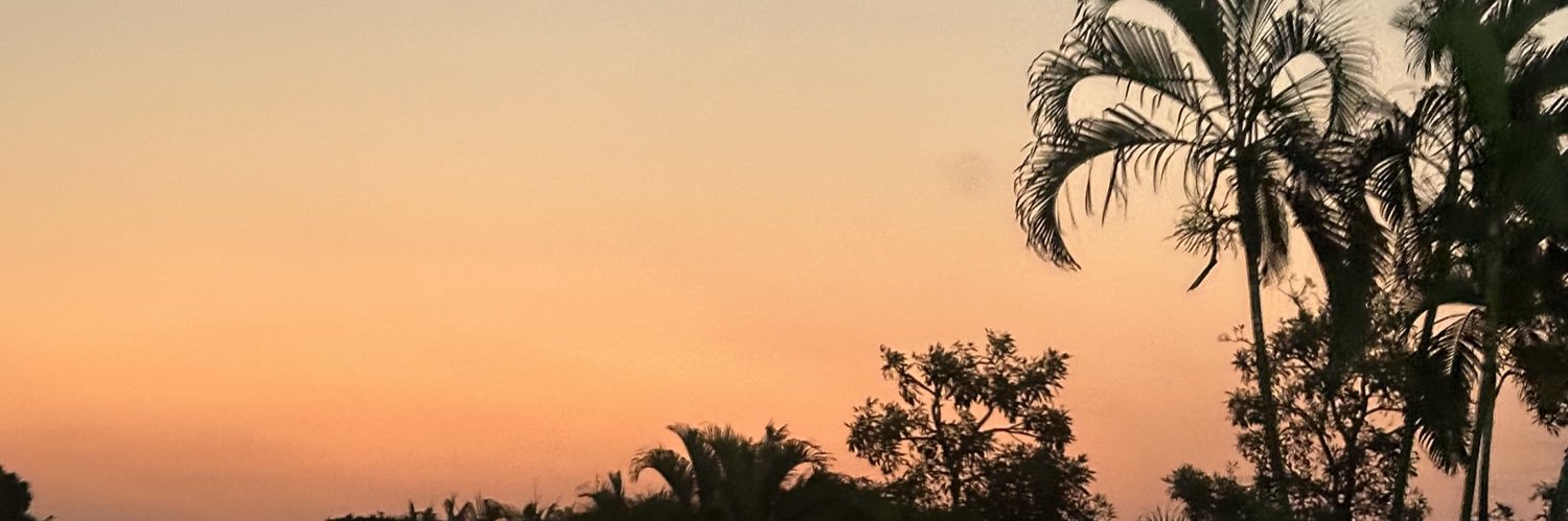 _naoooorosas's profile banner image