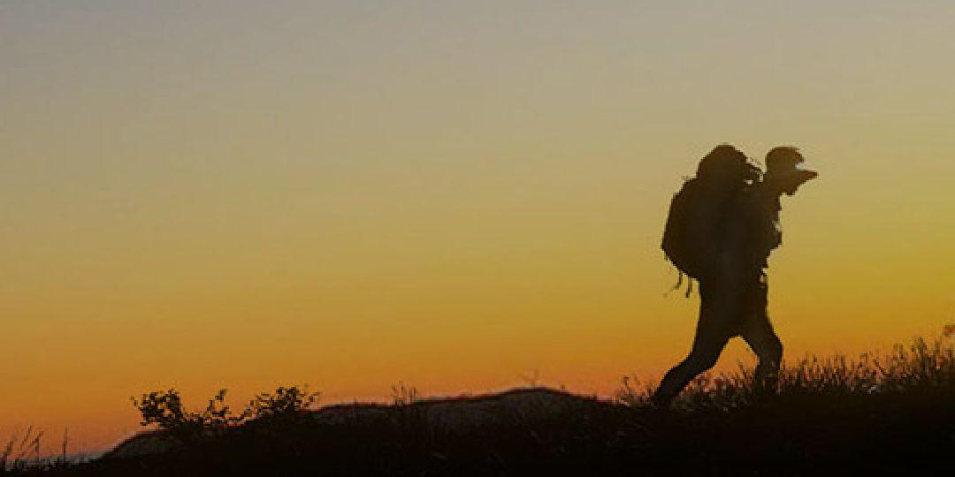 brothosenoo's profile banner image