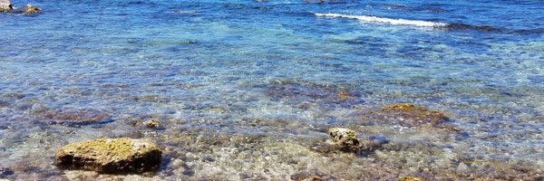 ChefSheba Profile Banner