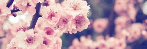 zoza11223345's profile banner image