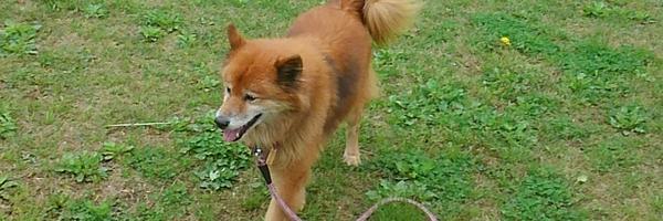 kutan0421 Profile Banner