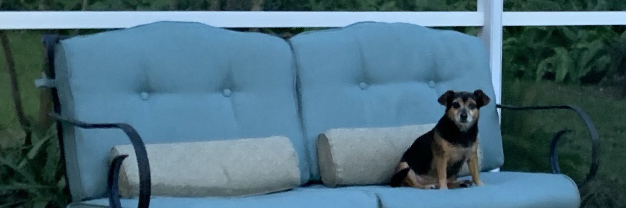 Biscuits (Chad Noonien Singh) banner