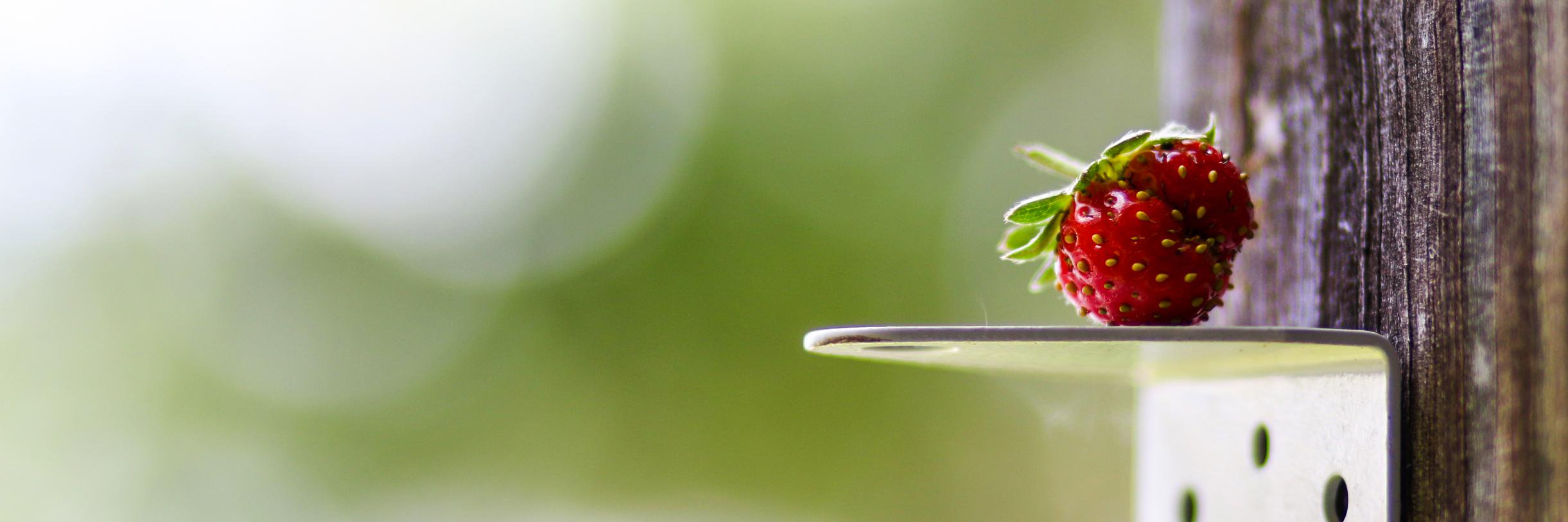 teeC131's profile banner image