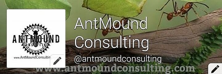 antmound1's profile banner image
