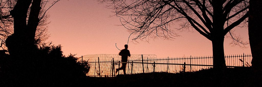 Daniele Federico banner