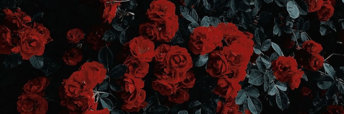 laauri21's profile banner image