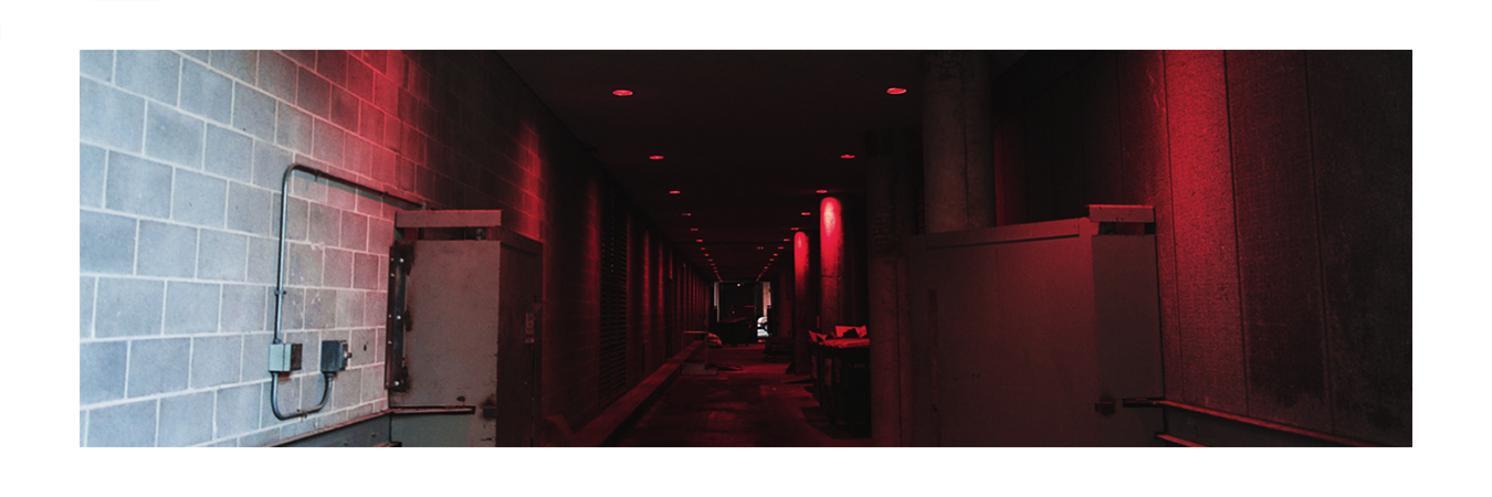 braydennwogdr's profile banner image