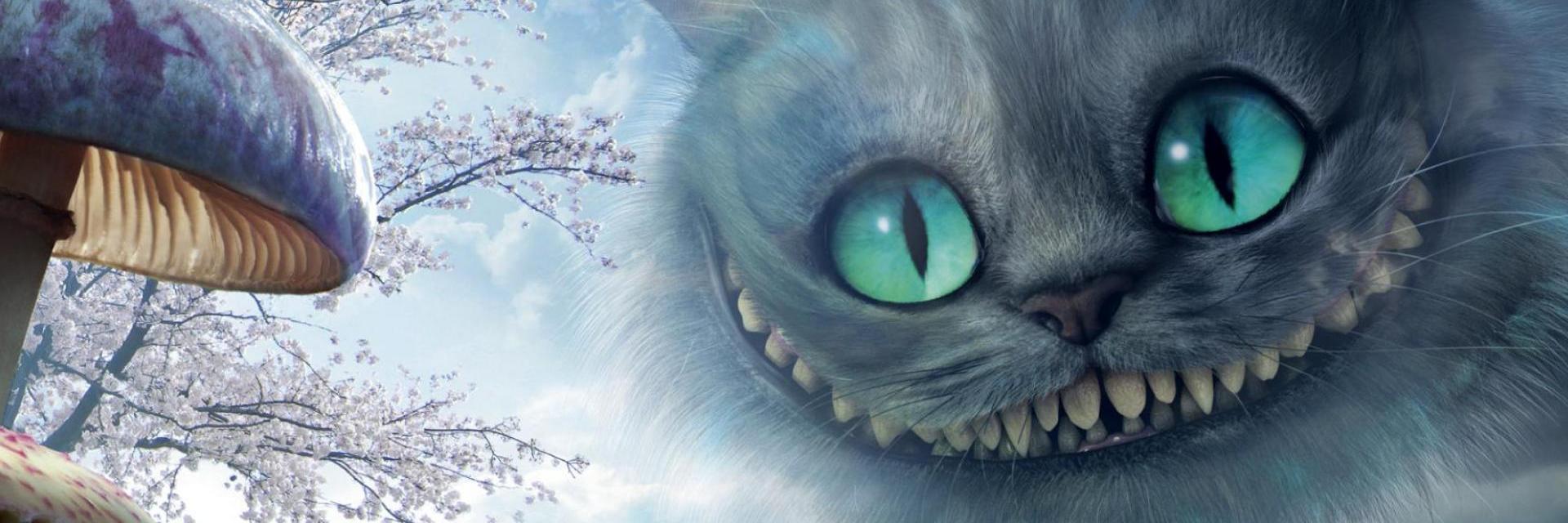 NathieCbc's profile banner image