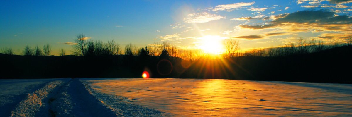Ash_McSweeney's profile banner image
