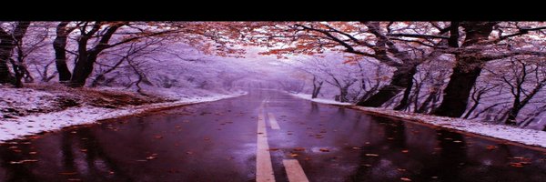 pacino95 Profile Banner