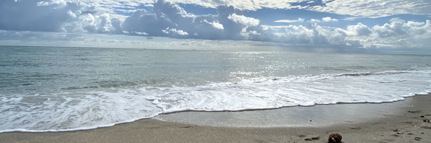 sofilistello's profile banner image