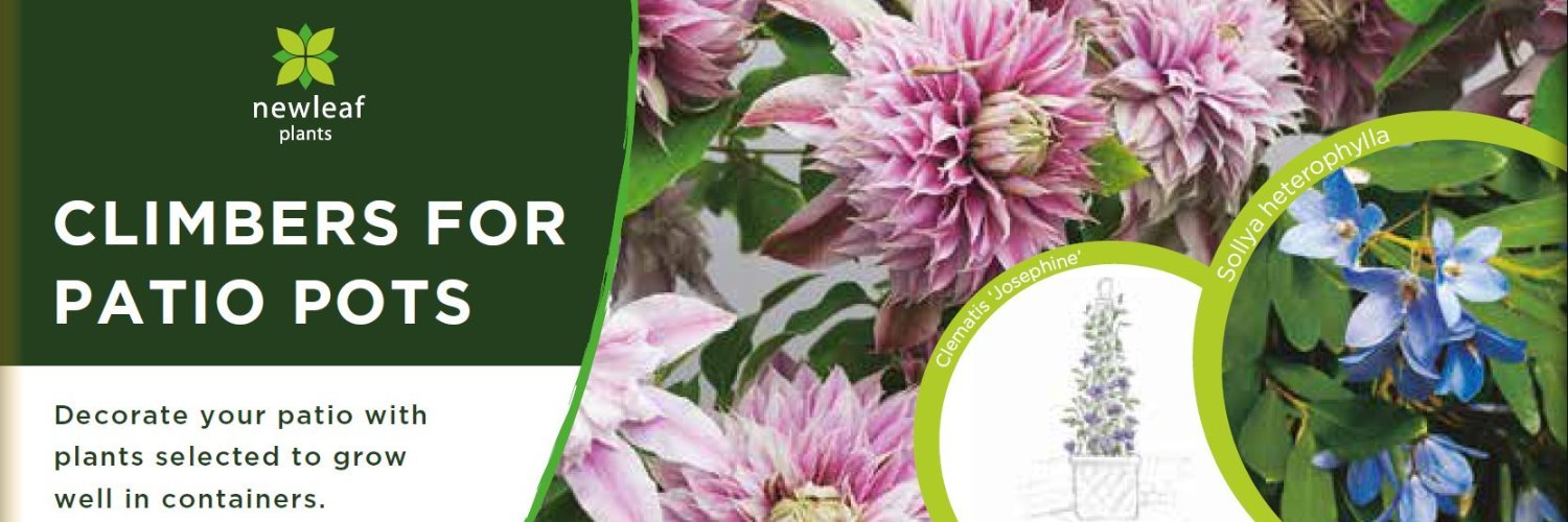 New Leaf Plants banner