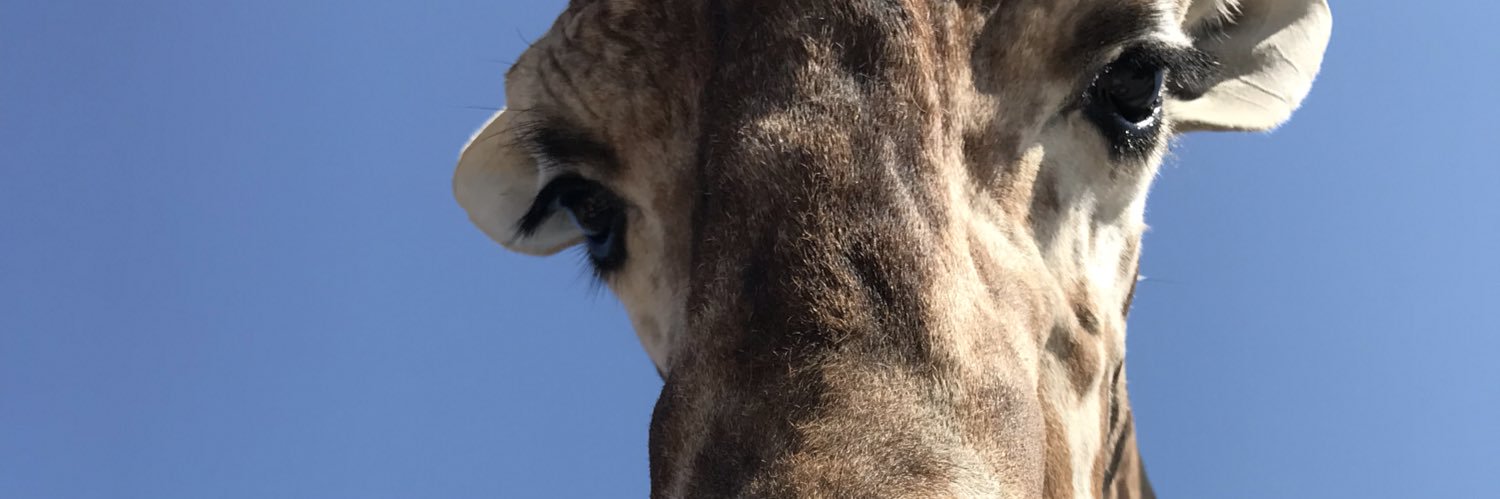 ShaeRay_'s profile banner image