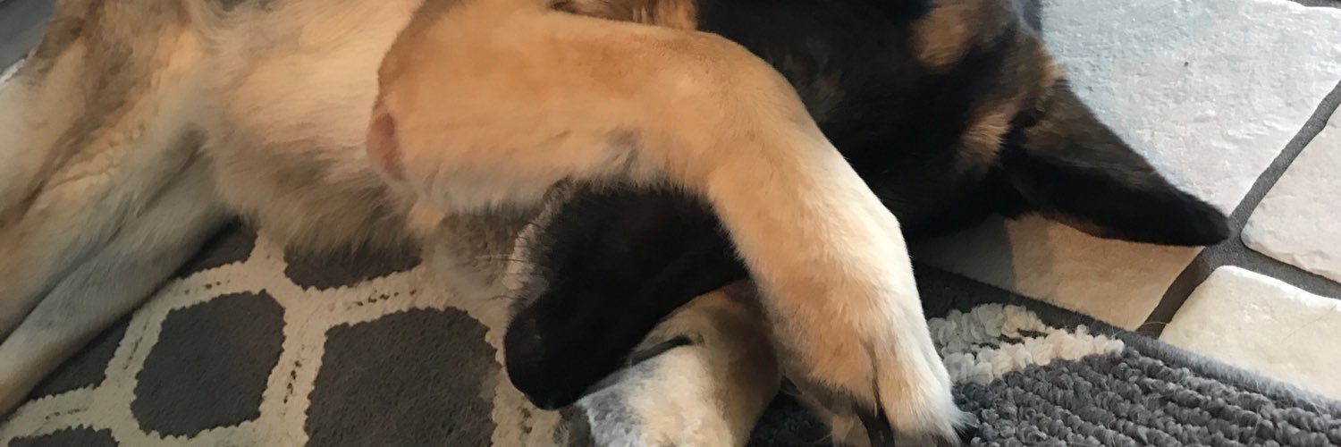 Christian Robinson banner