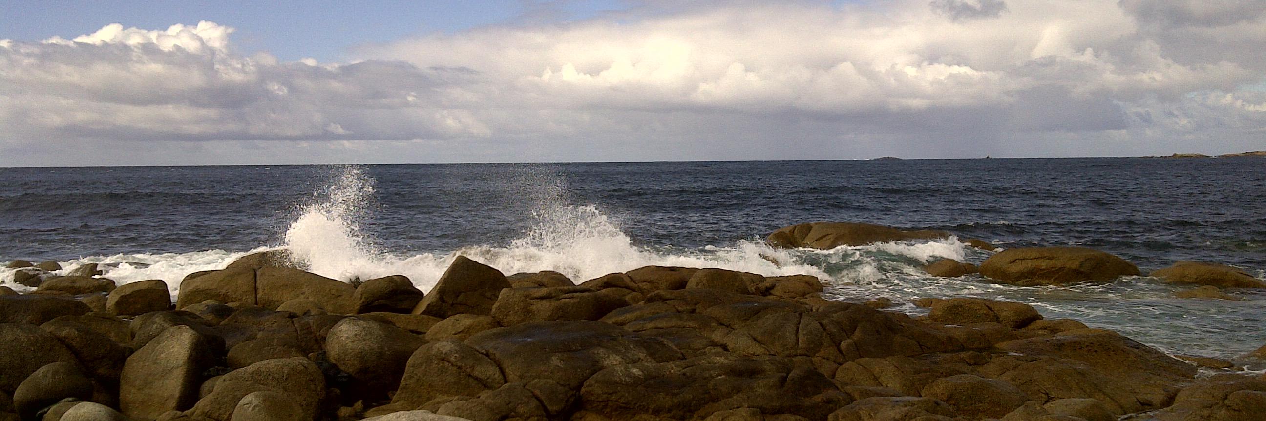 Leigh Anne Riedman banner