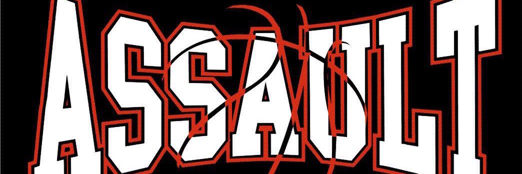 shomeassault's profile banner image