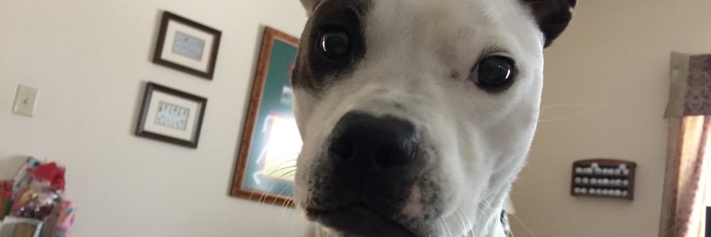 m_briane's profile banner image