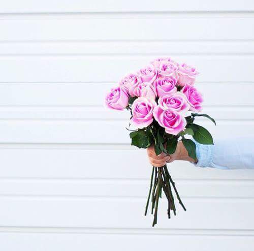 asmaa_eissa_'s profile banner image