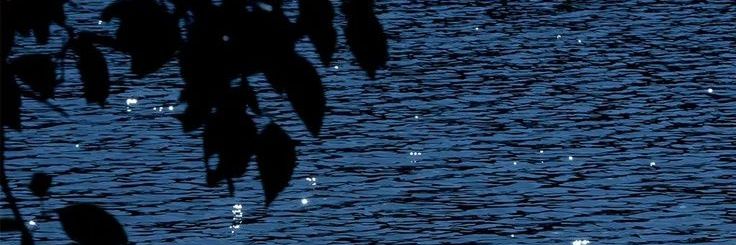 wav4545's profile banner image