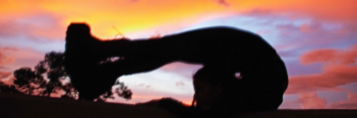 AlyssaTalner's profile banner image