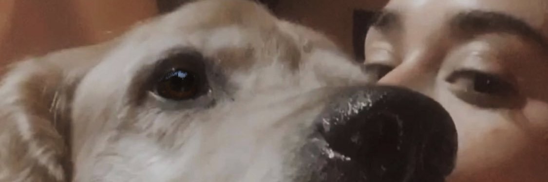 CBoursic's profile banner image