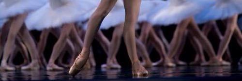 BalletClasEdoMx's profile banner image