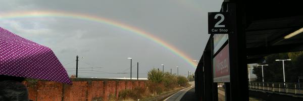 DWanalysis Profile Banner