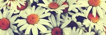 Majo_MP's profile banner image