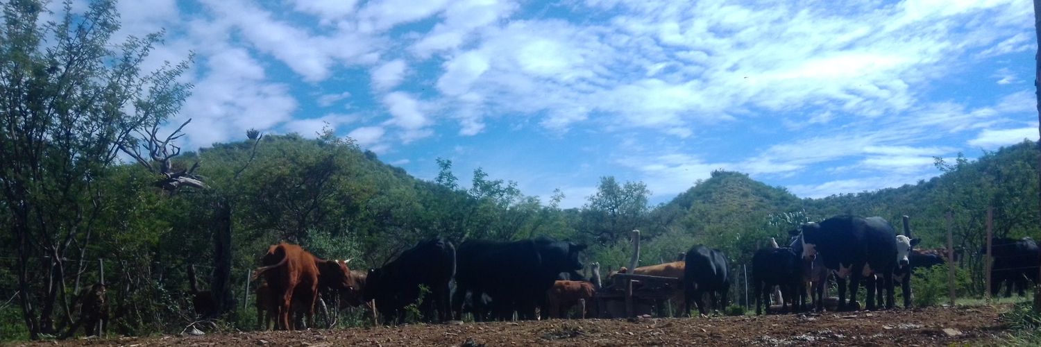 FabiánM⭐⭐⭐ banner